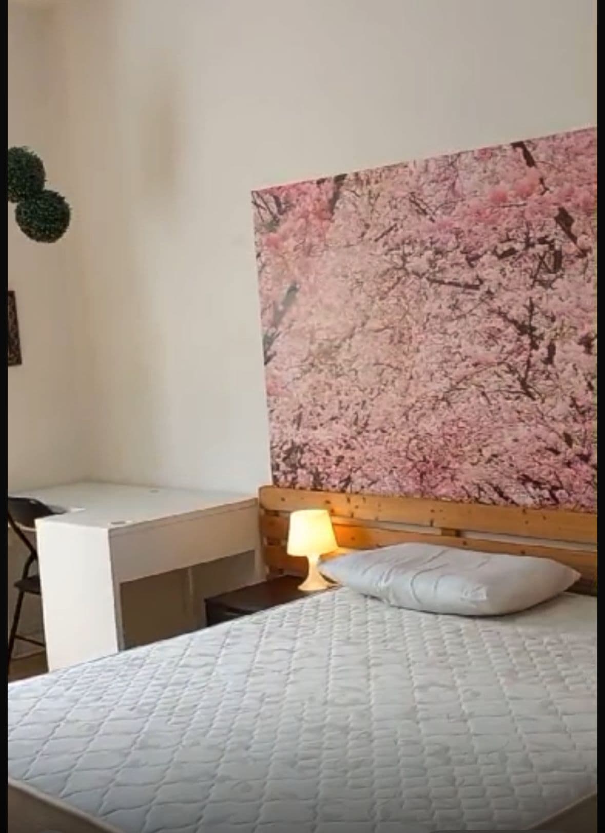 Private room in Pisa photo 5